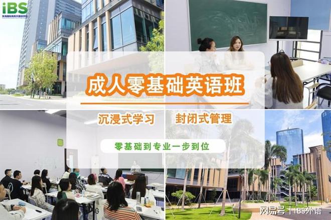 米乐M6APP下载英语知识零基础免费学英